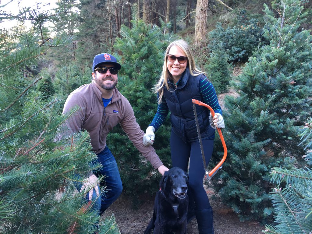 Christmas Tree Hunting